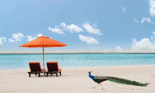 هتل جی ای ریزورت بیچ دبی هتل جی ای ریزورت بیچ دبی